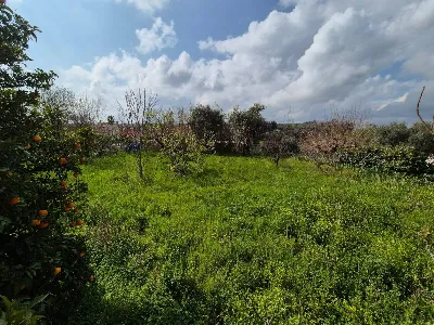 Rustico/Casale in vendita a Giuliano Teati... - foto 5