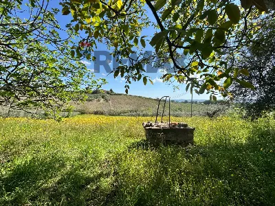 Rustico/Casale in vendita a Mozzagrogna - foto 10