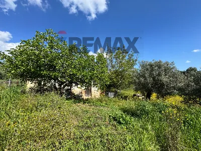 Rustico/Casale in vendita a Mozzagrogna - foto 2