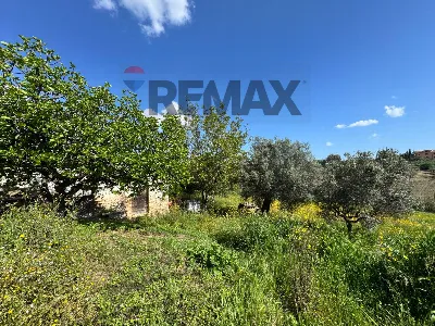 Rustico/Casale in vendita a Mozzagrogna - foto 3