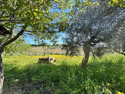 Rustico/Casale in vendita a Mozzagrogna - foto 7