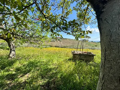 Rustico/Casale in vendita a Mozzagrogna - foto 8