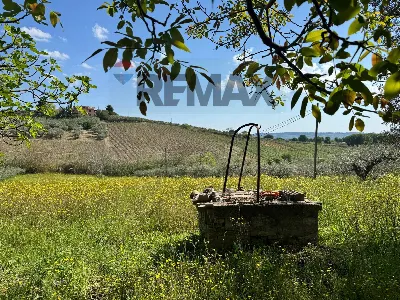 Rustico/Casale in vendita a Mozzagrogna - foto 9