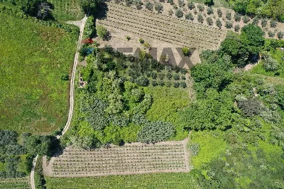 Rustico/Casale in vendita a Rocca San Giov... - foto 10