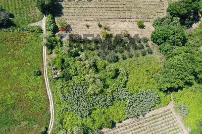 Rustico/Casale in vendita a Rocca San Giov... - foto 7