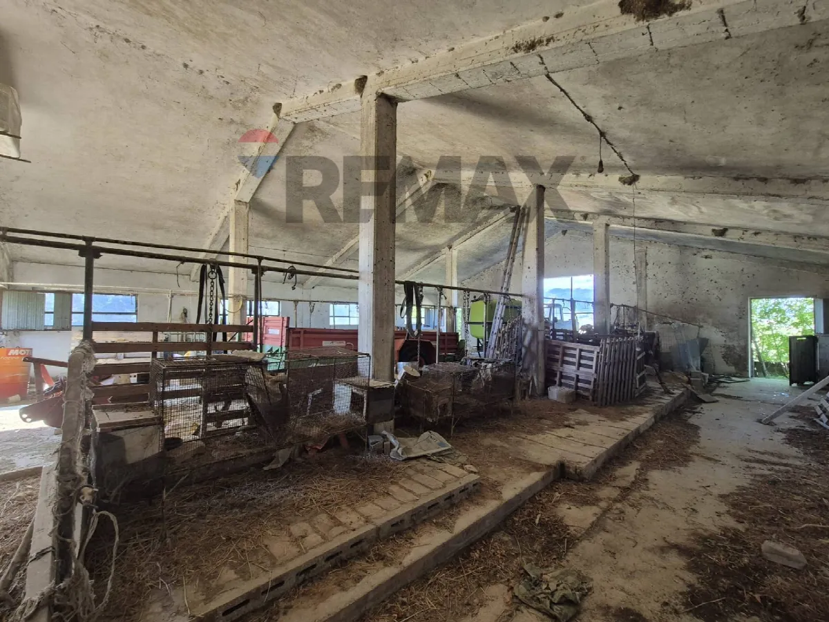 Rustico/Casale in vendita a Castel Frentano - foto 2