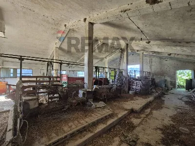 Rustico/Casale in vendita a Castel Frentan... - foto 2