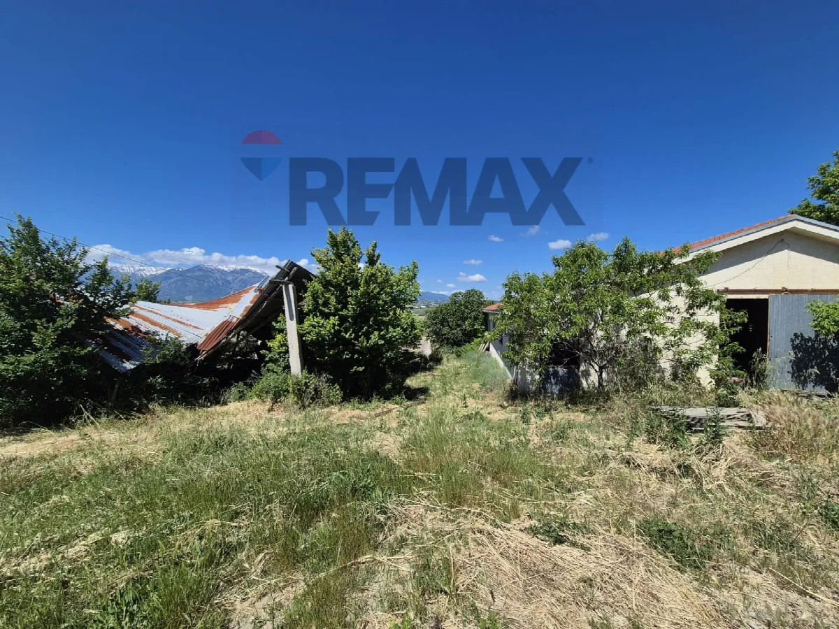 Rustico/Casale in vendita a Castel Frentano - foto 5