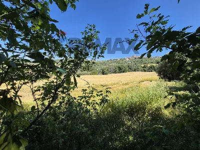 Rustico/Casale in vendita a Castel Frentan... - foto 6