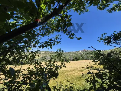 Rustico/Casale in vendita a Castel Frentan... - foto 8