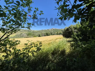 Rustico/Casale in vendita a Castel Frentan... - foto 9
