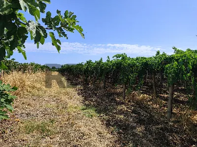 Rustico/Casale in vendita a Pollutri - foto 2