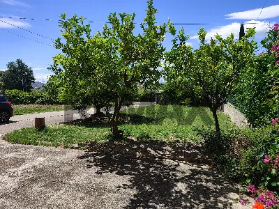 Casa Indipendente in vendita a Pollutri - foto 8