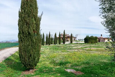 Villa in vendita a Palombara Sabina - foto 4