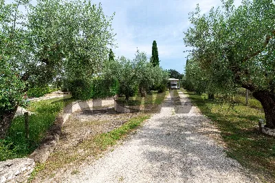 Villa in vendita a Palombara Sabina - foto 5