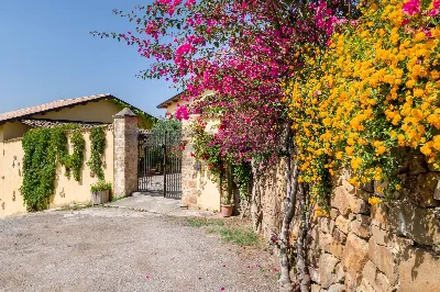 Rustico/Casale in vendita a Carini - foto 10