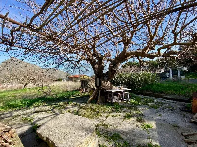 Rustico/Casale in vendita a Monreale - foto 3