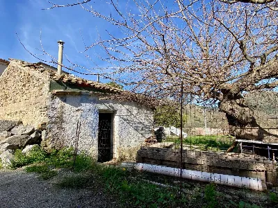 Rustico/Casale in vendita a Monreale - foto 5