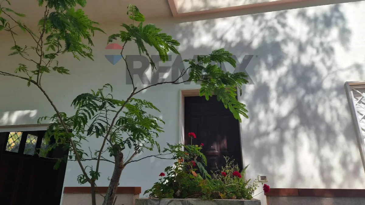 Casa Indipendente in vendita a Castelvetrano - foto 4