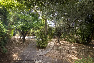 Villa in vendita a Palermo, Uditore, leona... - foto 3