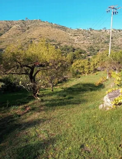 Villa in vendita a Gratteri - foto 10