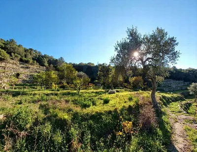 Villa in vendita a Gratteri - foto 2