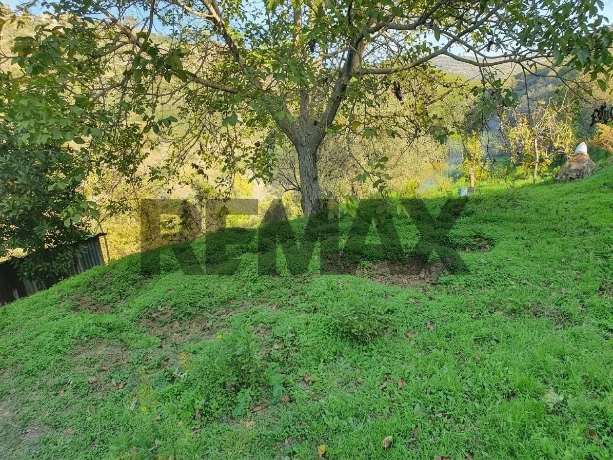 Villa in vendita a Gratteri - foto 4