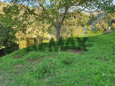 Villa in vendita a Gratteri - foto 4