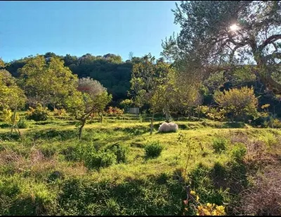 Villa in vendita a Gratteri - foto 7