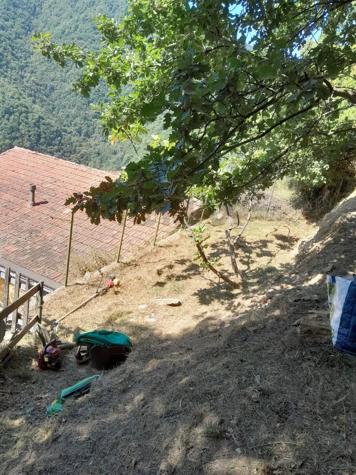 Casa Indipendente in vendita a Bargagli - foto 3