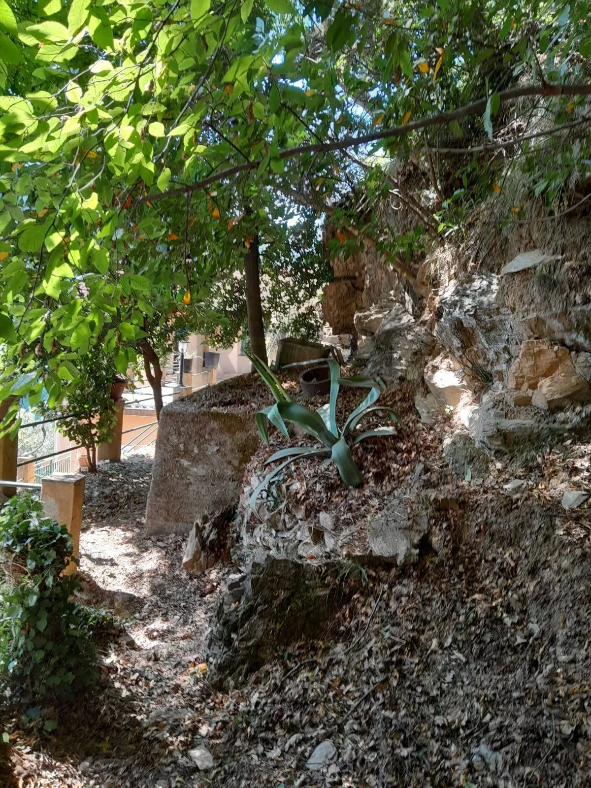 Casa Indipendente in vendita a Bargagli - foto 4