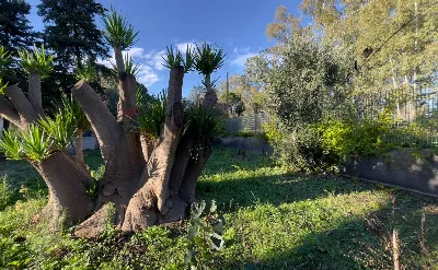 Villa in vendita a Ginosa - foto 10