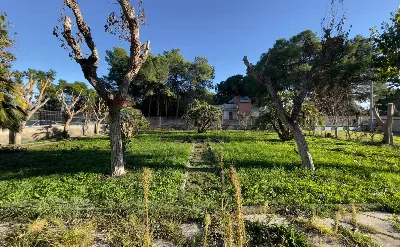 Villa in vendita a Ginosa - foto 8