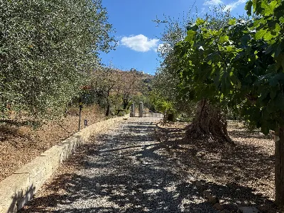 Villa in vendita a Grottole - foto 7