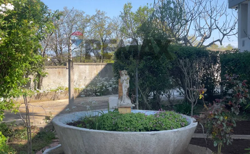 Casa Indipendente in vendita a Santeramo in Colle - foto 1