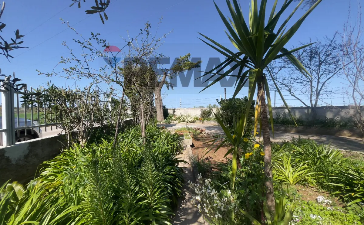 Casa Indipendente in vendita a Santeramo in Colle - foto 3