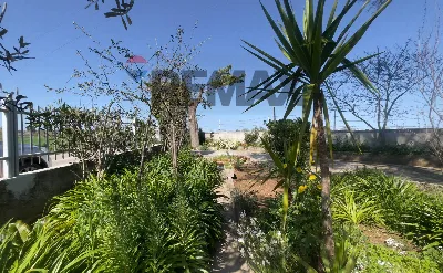 Casa Indipendente in vendita a Santeramo i... - foto 3