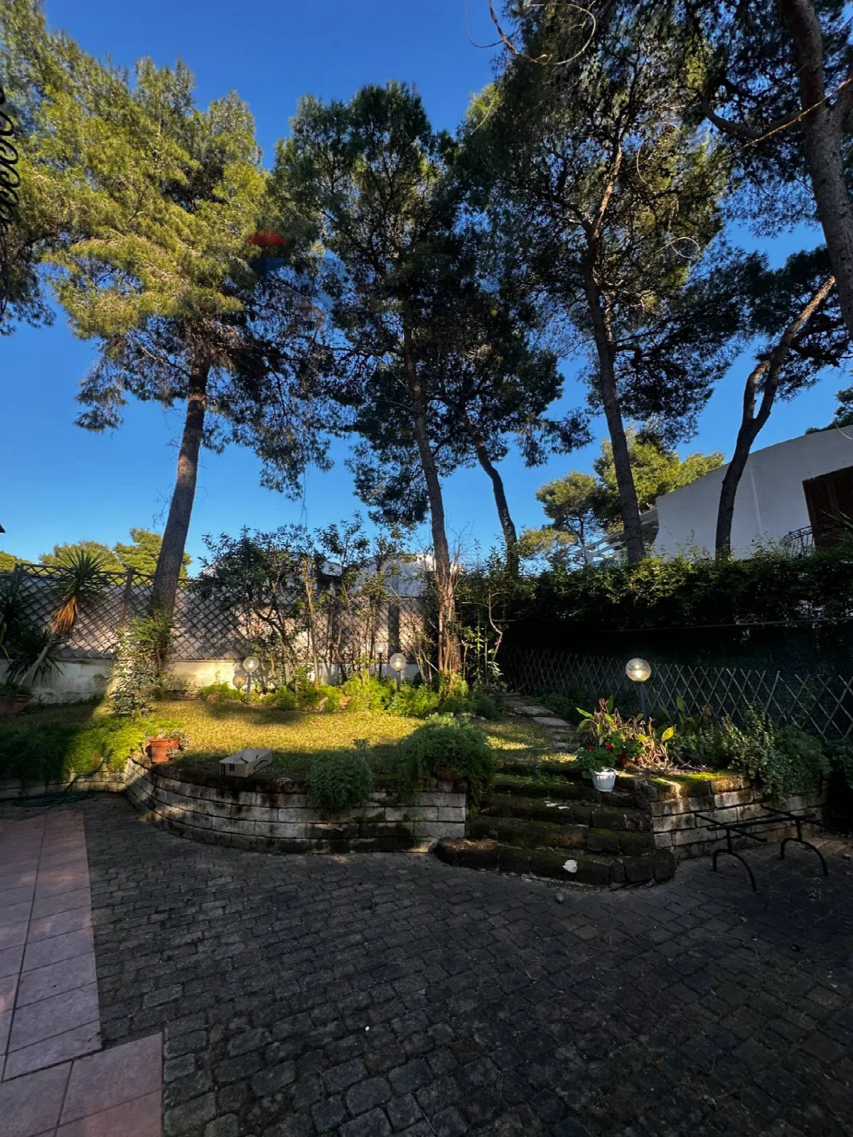 Casa Indipendente in vendita a Castellaneta - foto 3