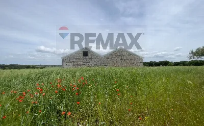 Villa in vendita a Santeramo in Colle - foto 4
