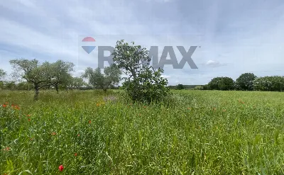 Villa in vendita a Santeramo in Colle - foto 7