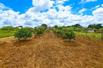 Villa in vendita a Caltagirone - foto 4