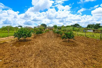 Villa in vendita a Caltagirone - foto 5
