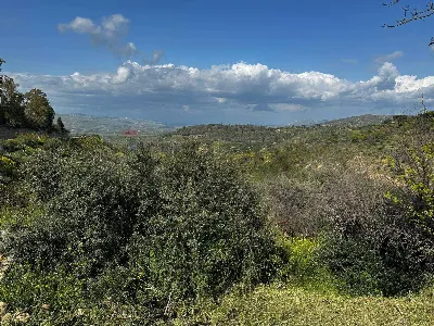 Villa in vendita a Grammichele - foto 7