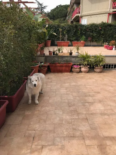 Villa in vendita a Sant'Agata li Battiati - foto 9