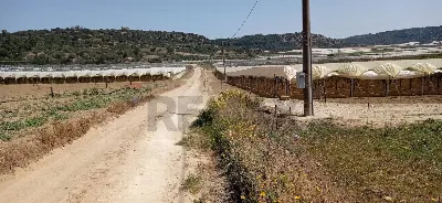 Villa in vendita a Caltagirone - foto 10
