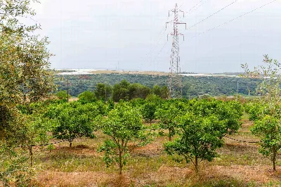 Rustico/Casale in vendita a Caltagirone - foto 2