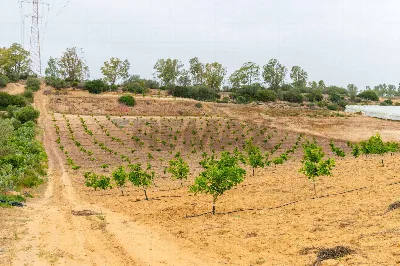 Rustico/Casale in vendita a Caltagirone - foto 3