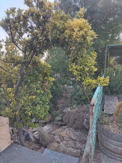 Villa in vendita a Caltagirone - foto 7