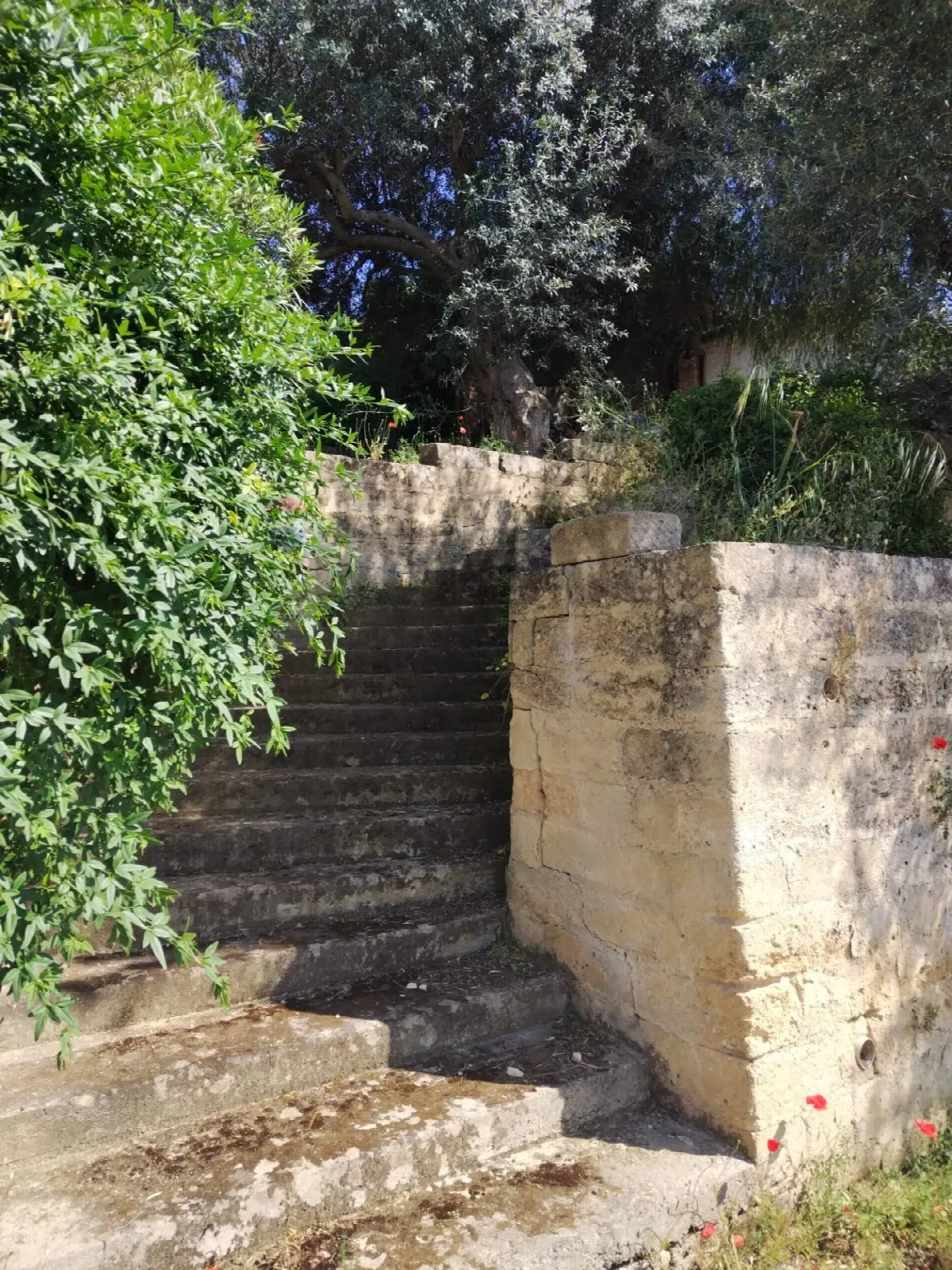 Villa in vendita a Grammichele - foto 3