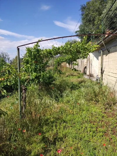 Villa in vendita a Grammichele - foto 6